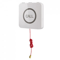 Кнопка вызова iBells 310S влагозащищенная со шнуром для МГН в Нальчике